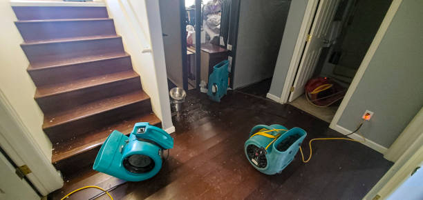 Best Mold removal after water damage  in Mcleansville, NC