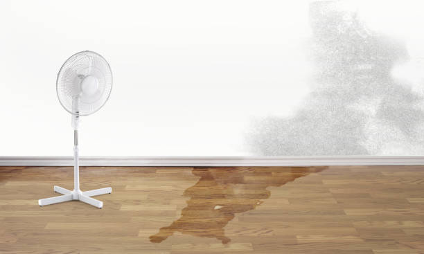 Best Ceiling water damage repair  in Mcleansville, NC