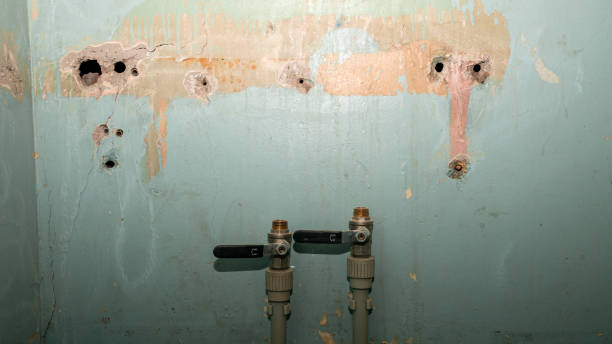 Best Ceiling water damage repair  in Mcleansville, NC