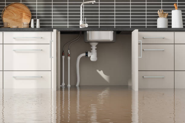 Best Mold removal after water damage  in Mcleansville, NC