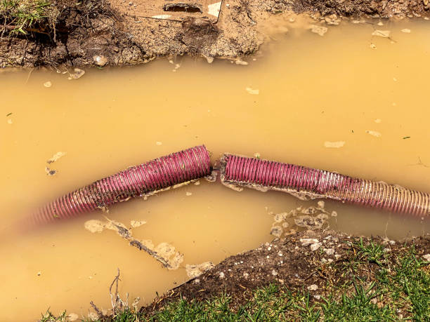 Best 24/7 water damage repair  in Mcleansville, NC