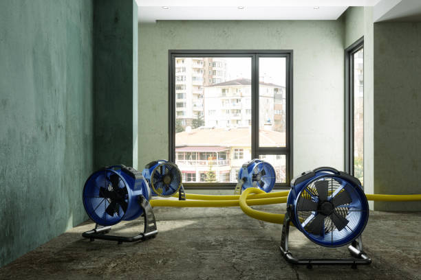 Best Sewage cleanup and water damage restoration  in Mcleansville, NC