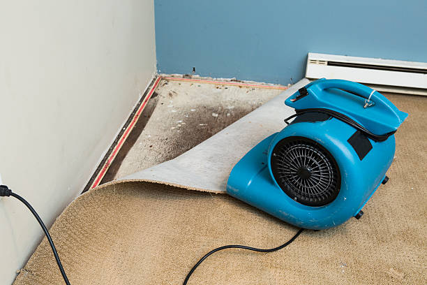 Best Flooded house restoration  in Mcleansville, NC